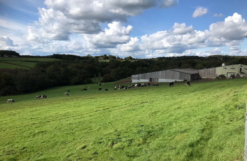 Fields and cowshed