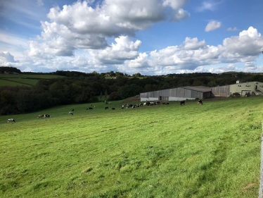 Fields and cowshed